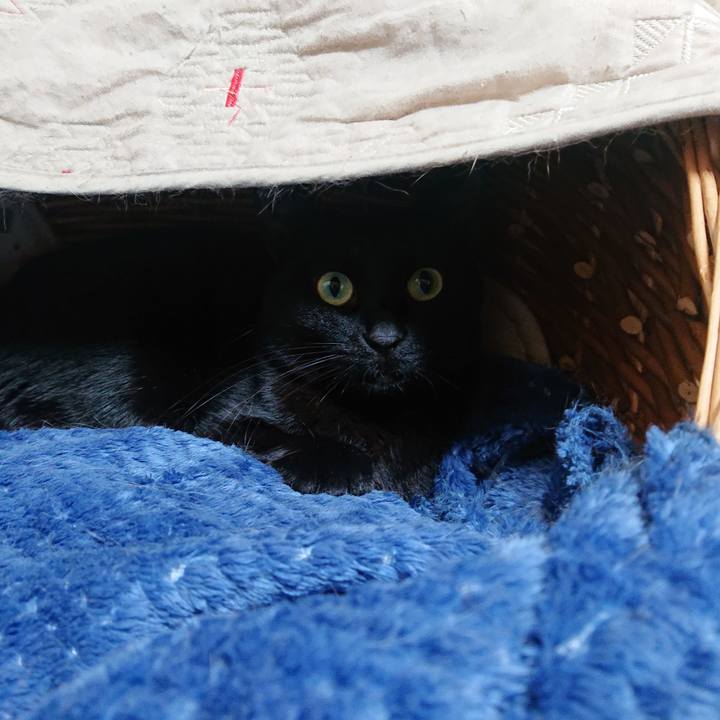 1f5f2531 f447 4f92 aac0 cf00af72925b 1677628590586