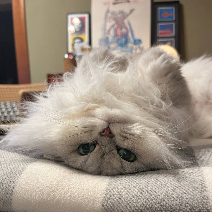 1f5f2b0a d371 41a2 9780 3a7025cbbe75 1643718919890