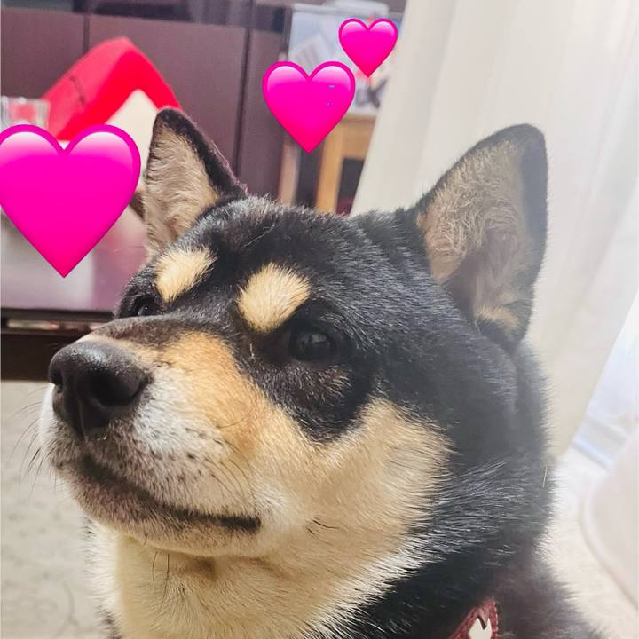 1f5f318c ea51 4783 a28d a09ff015ef65 1739785571415