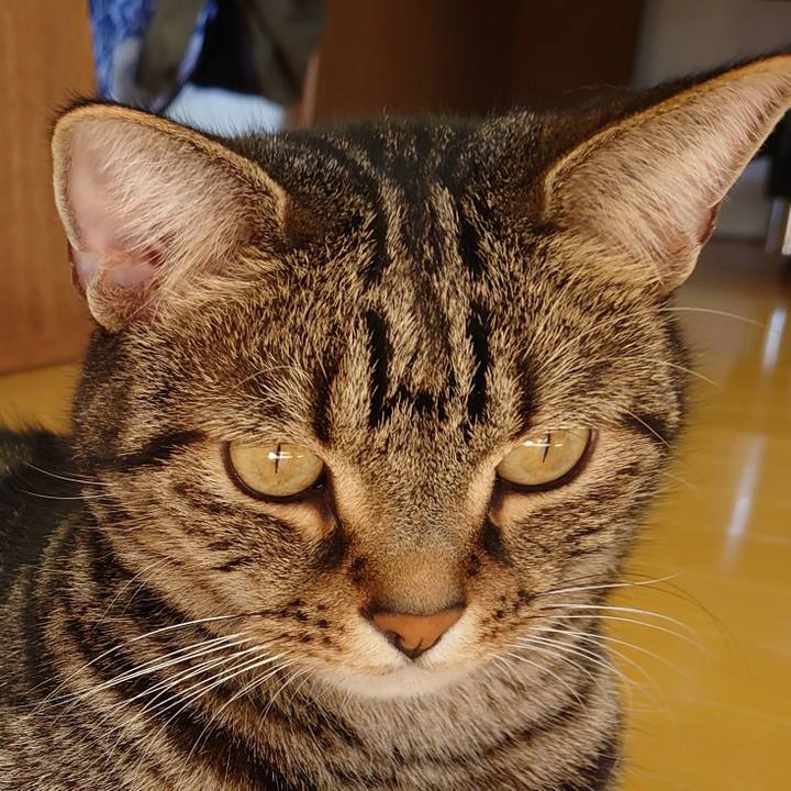 1f5f3583 5d85 4ad8 b186 23fa57ffe6f1 1612844021186