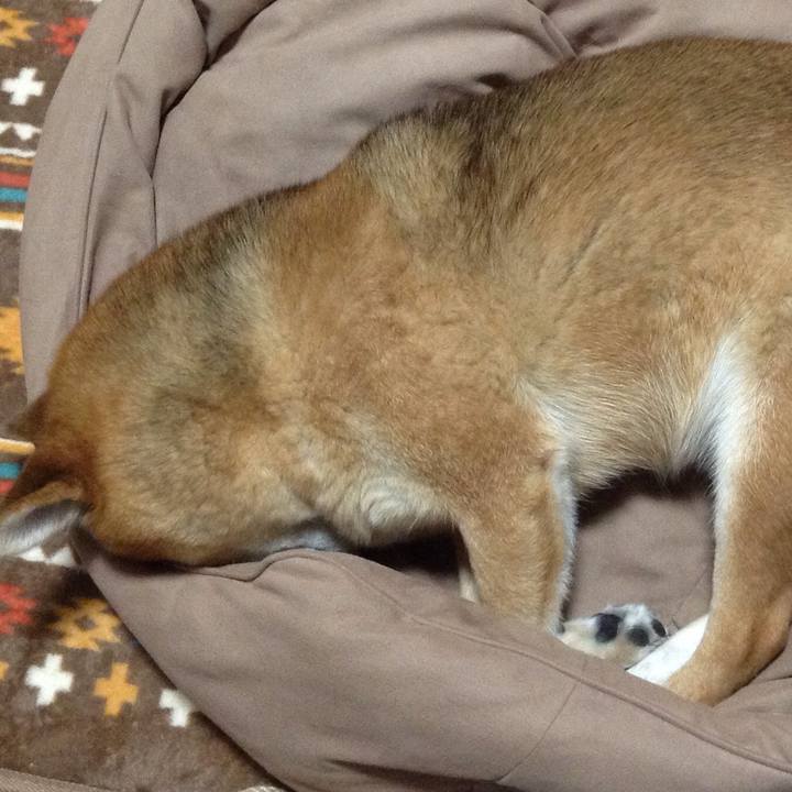 1f5f5d0d f3c0 4c24 b346 d2571ef50669 1542285390391