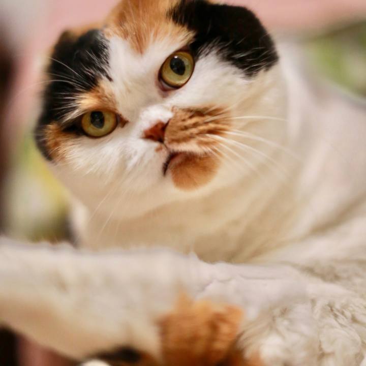 1f5f7b95 3fbd 494c 9c17 af1f66814585 1575975939334