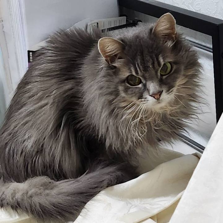 1f5fa59d f616 47a3 b5b1 f8c2187babed 1739491311988