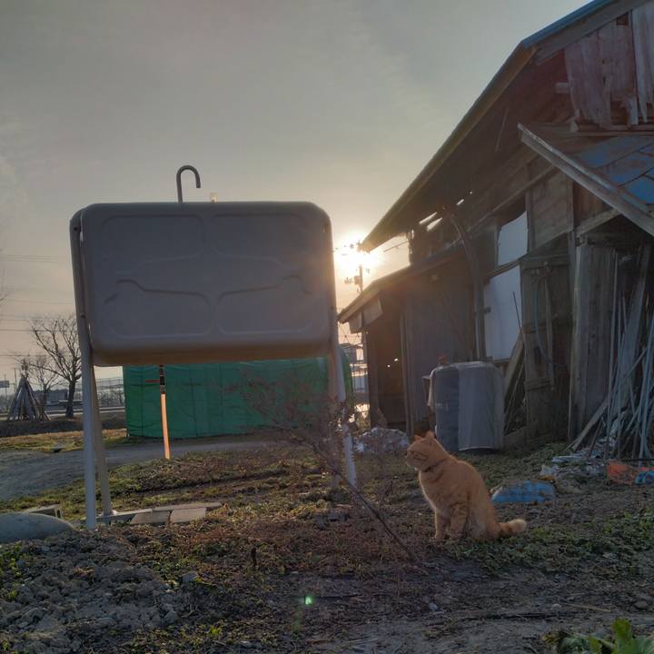 1f5fda4d 9d8d 42b5 a6b5 ba2072737093 1679525352910