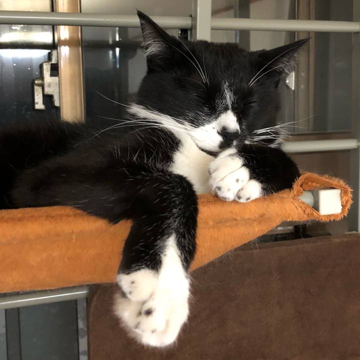 1f5fef90 d8e7 40ec af16 135d2f1d8268 1528530457788