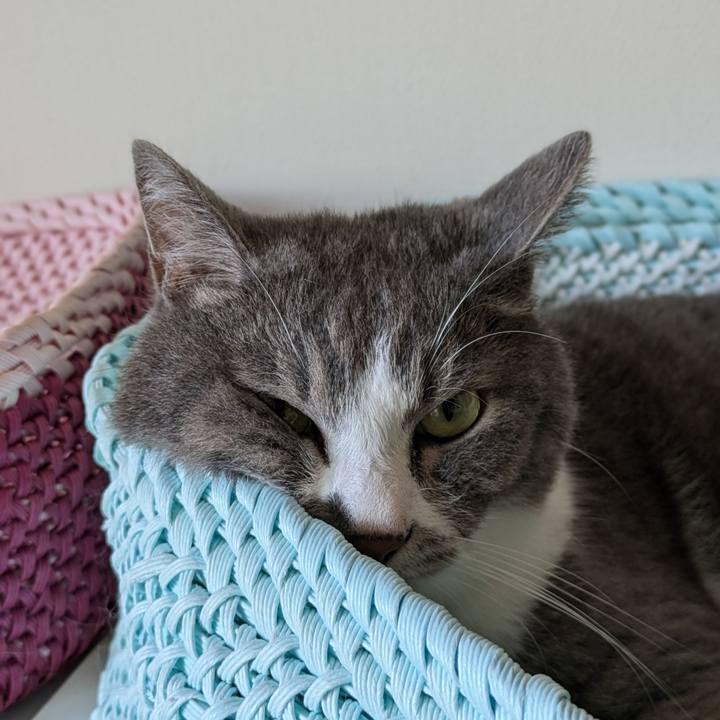 1f602872 a5d9 45c5 b2a7 40421d2c5aed 1726789296240