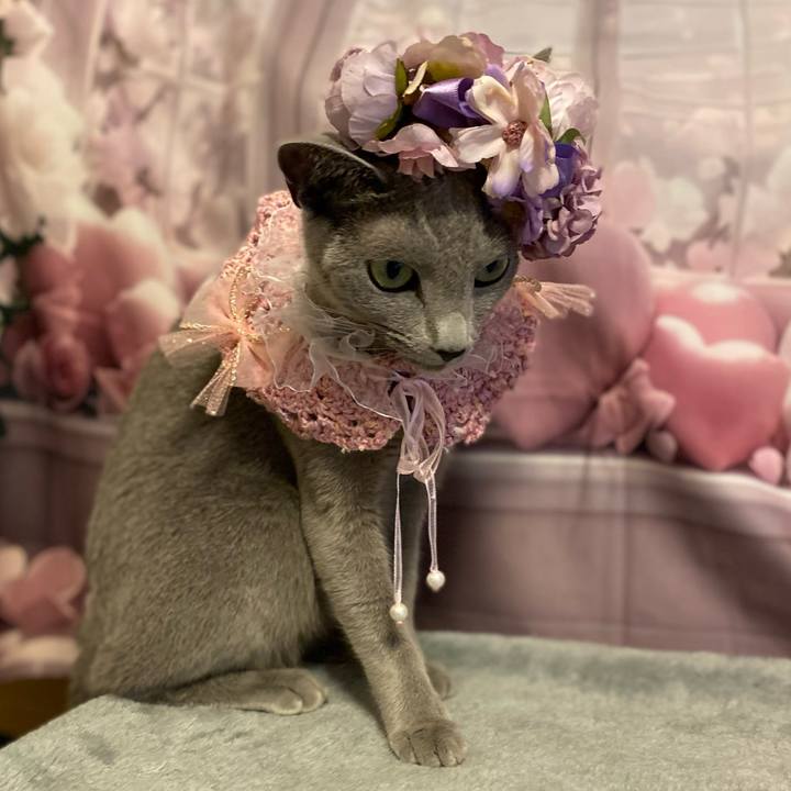 1f604f01 a555 4bf8 8739 25e5994e3439 1727772642967