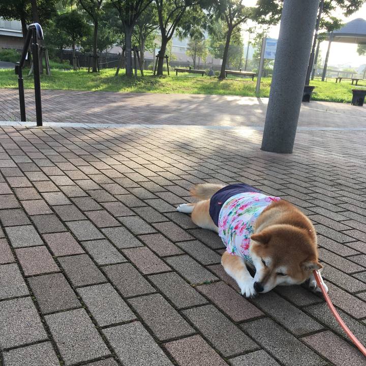 1f607f78 785c 431a 8349 f87f4d106aa5 1566340044141