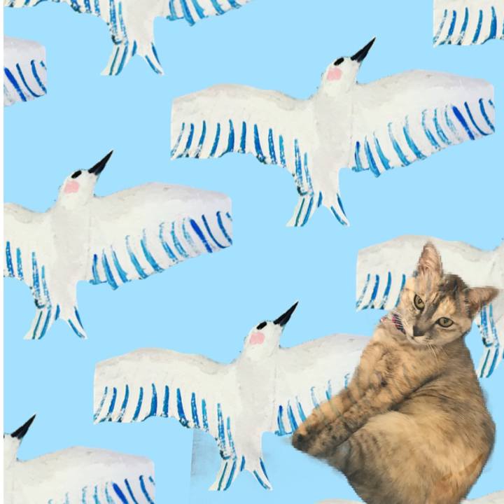 1f608935 f50e 45b5 bb32 055365af5c95 1639784261351