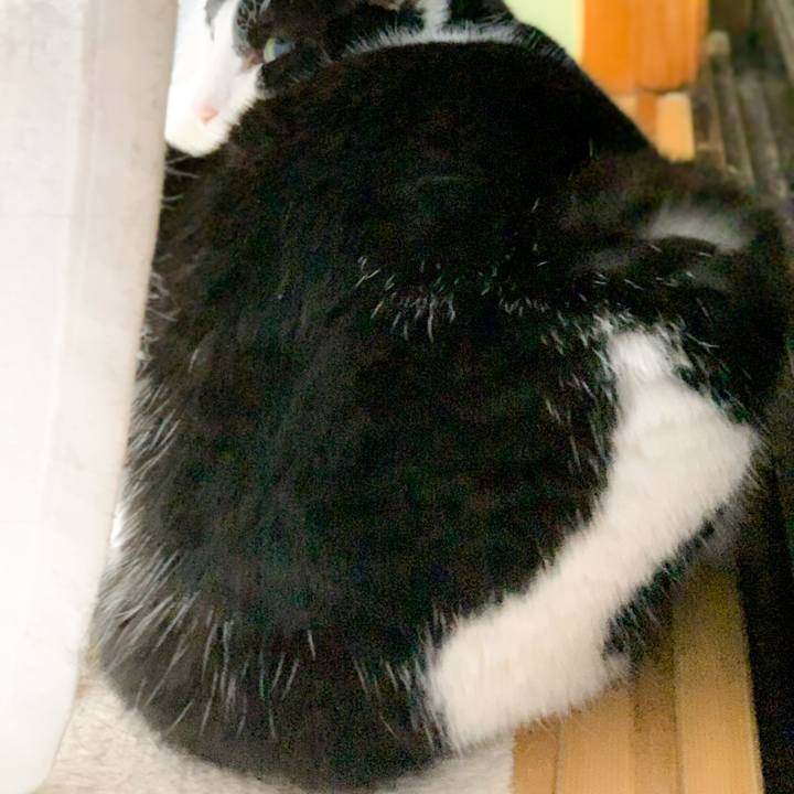 1f608c02 3a21 4f47 9d75 01b4c3f2c54b 1584323381476