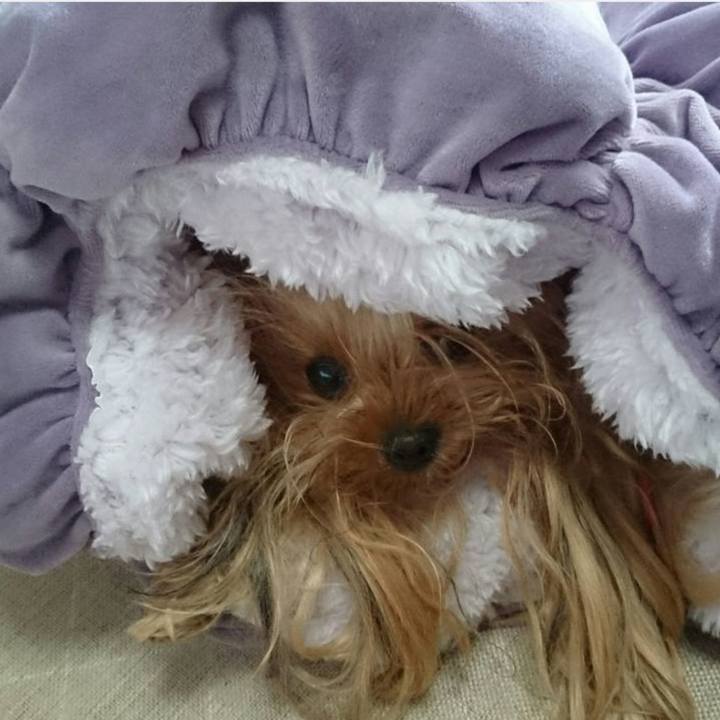 1f60b0b2 d755 4508 86df ae86b1d99da5 1634622302027