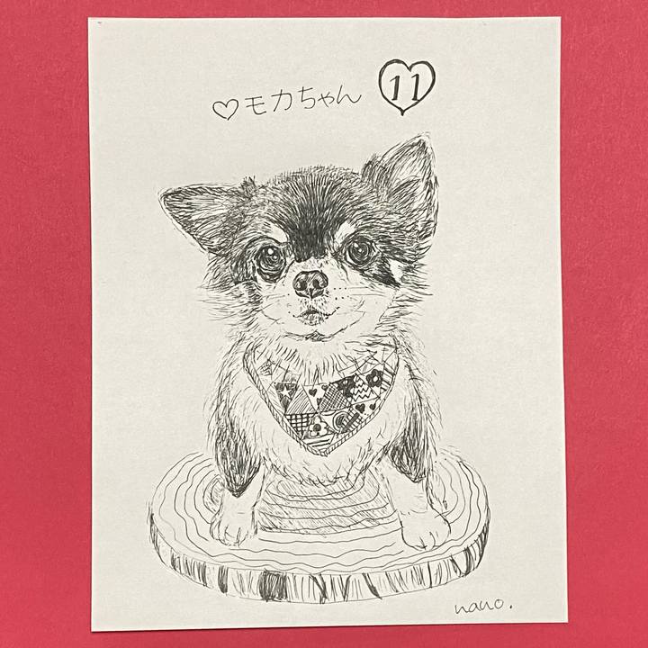 1f60c592 87d4 4cb1 8c20 bdd7af5cf712 1649630009162