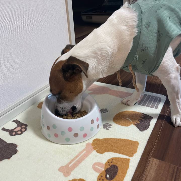 1f60ccbd 29df 4960 885c a77b9f7d2039 1718789453587