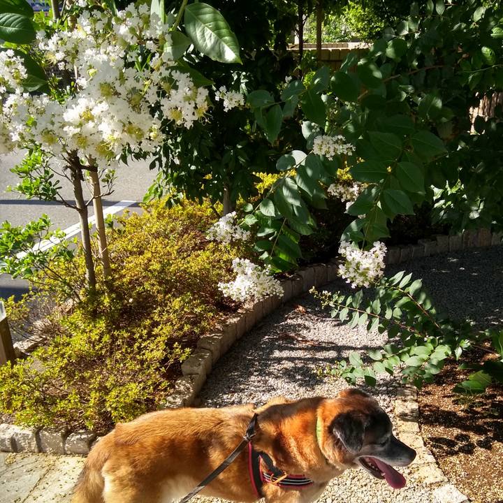 1f60f019 7d62 46d2 8248 f108ccbfbc25 1565048971587