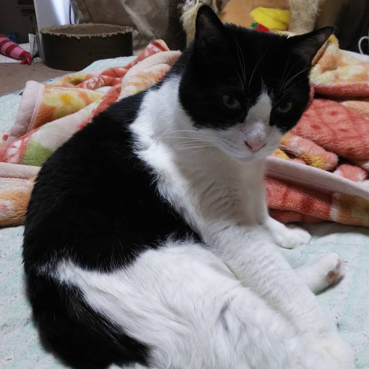 1f611e4f 7162 4319 831a eef253db1854 1557040114160