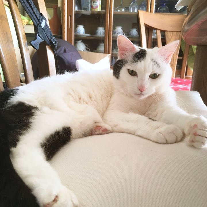 1f615e27 4aff 44d5 a646 3687b4477df9 1555624742523