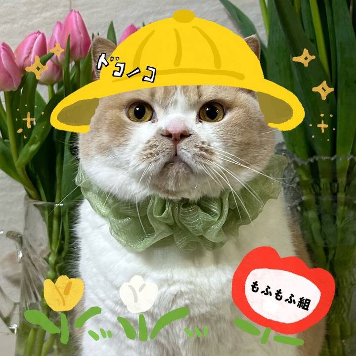 1f6177ad 35b7 4aee a10e 36453a390f29 1712278013734