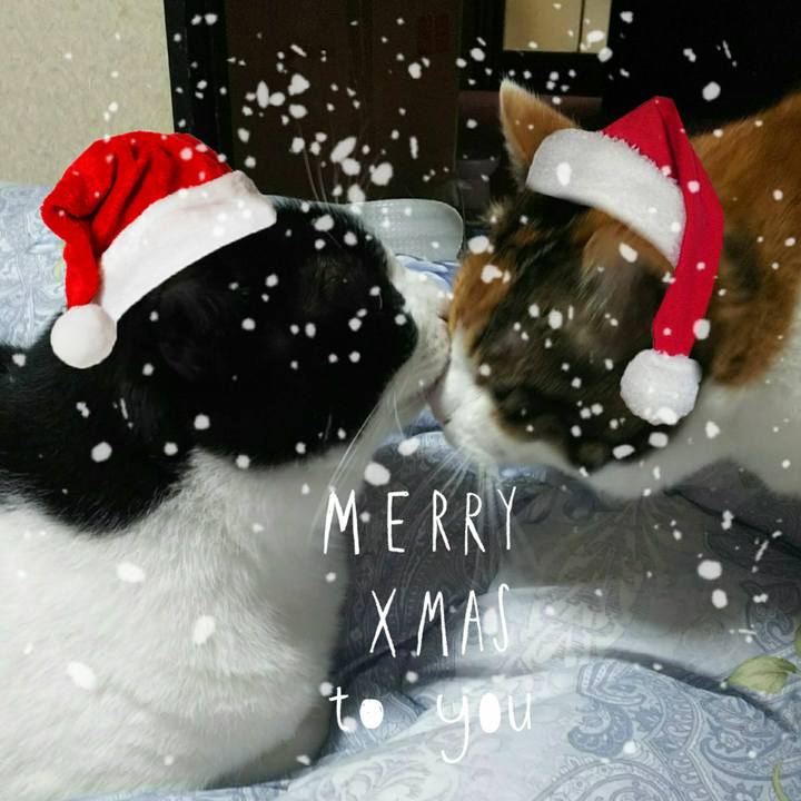 1f619a19 62ff 463f af4c 62aa60d5802b 1545613428475