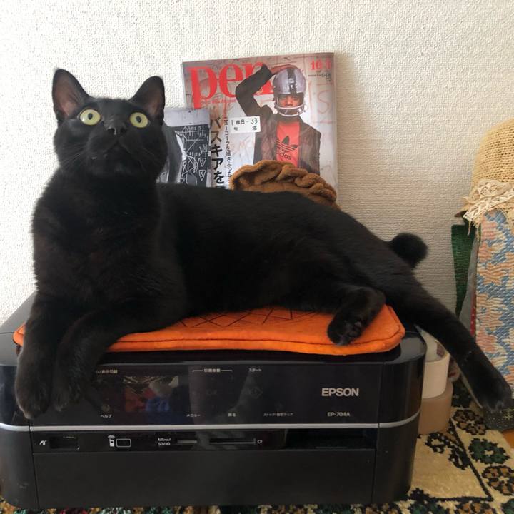 1f61c96b 695d 46eb 9fe9 72c7e307d049 1577489414691