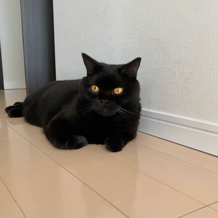 1f61d96c 2939 46a5 85e9 25cc71108890 1694912773247