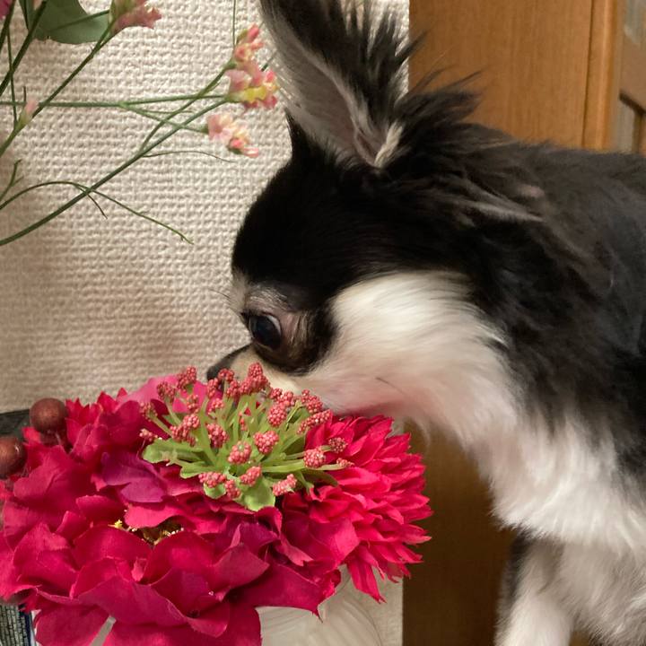 1f6205d4 34e5 4e0d 98d9 341207c41594 1627146029685