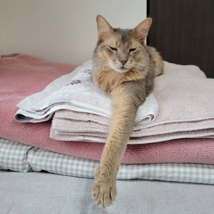 1f620db7 2a5e 4126 b523 3c6fcb73d259 1652154480807