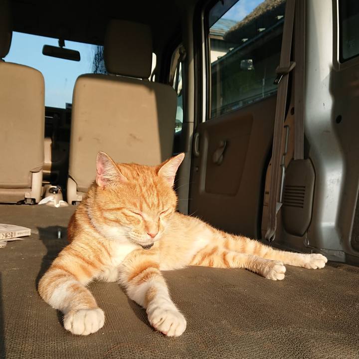 1f621098 fc05 45ca ab5f f151960a60ed 1564347690440