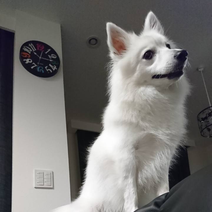 1f624db5 5886 4430 9070 7ac3e605c28e 1538799095781