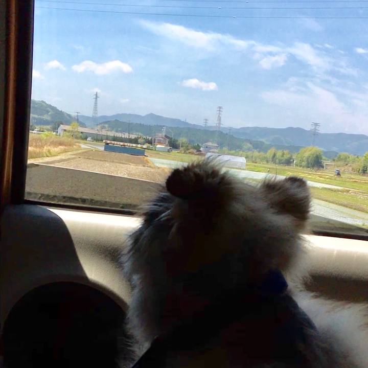 1f628b03 4192 42eb 9bf8 cc506922d356 1562596588194