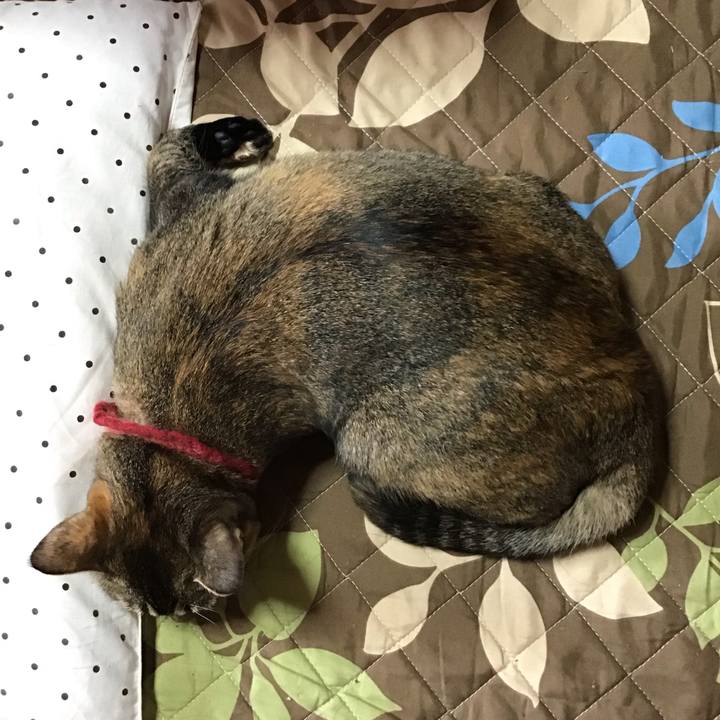 1f629652 f688 4da3 ba36 10043ba17f7d 1602042598848