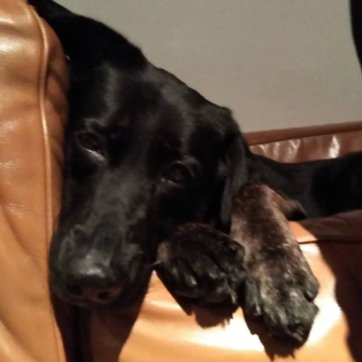 1f62ba51 e227 4448 bdd7 4f232408b1c9 1558355457733