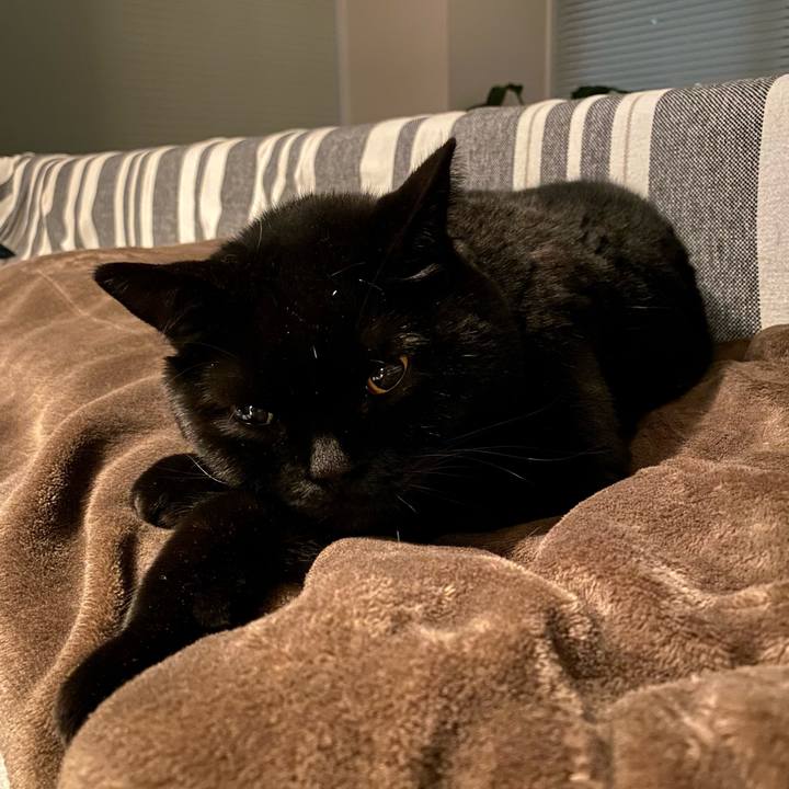 1f62bc20 c723 4b0f 9b16 9c4c321f099a 1774183941131