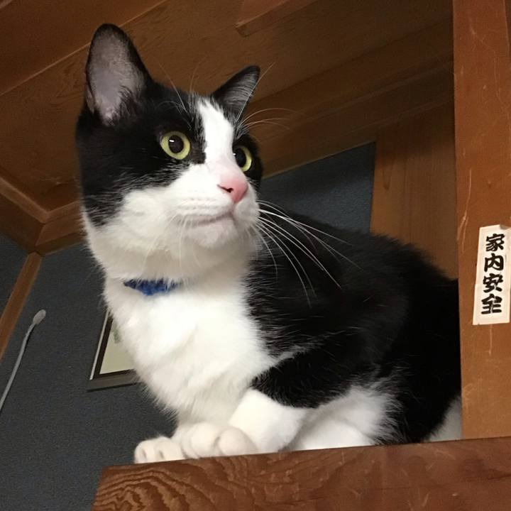 1f62c274 0b53 4a0d badd dd99a1ac0892 1763019622429