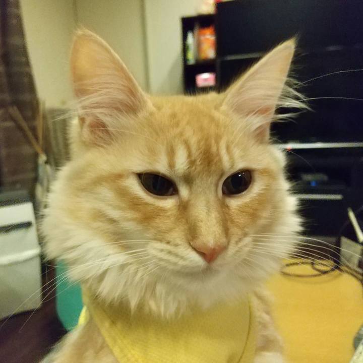 1f62ea15 048f 4a92 a852 cda3ccc678a6 1615113371437