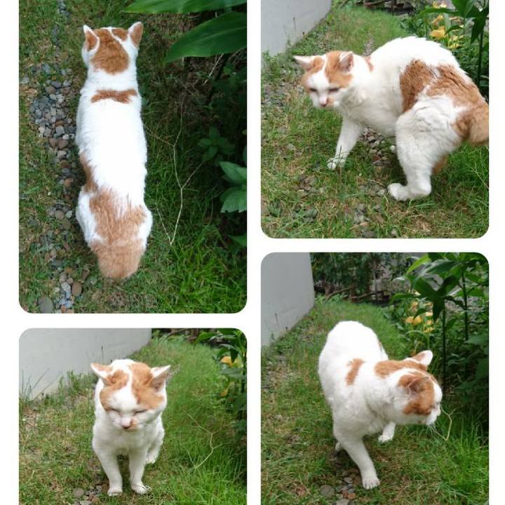 1f62fd4c 5a4b 42c2 bb8a 9ef2dd7d7fd2 1534851948513