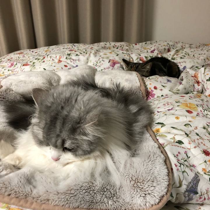 1f63117c 0c86 4884 bbc1 b1938df44bbb 1583482149033