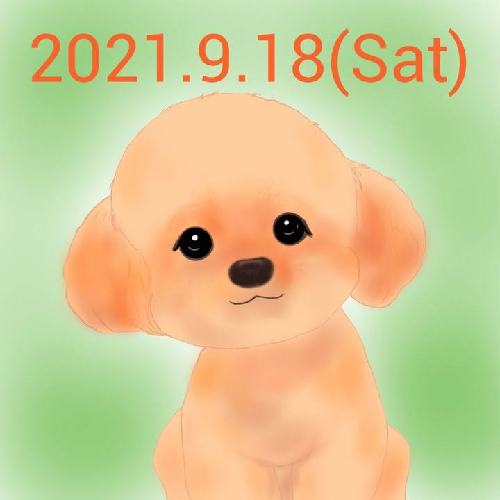 1f6313e6 a577 49d0 9a06 6cb1ee98c289 1631962619703