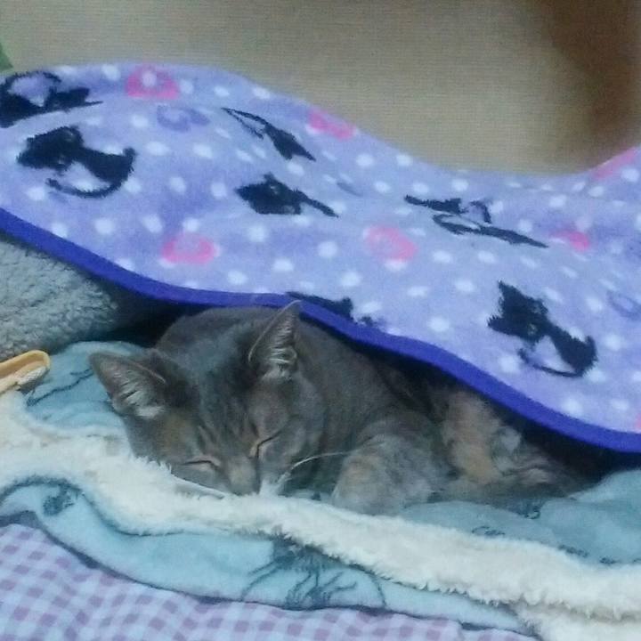 1f6314fc 8295 4b88 a6bb 5d7f7a28d582 1523950769952