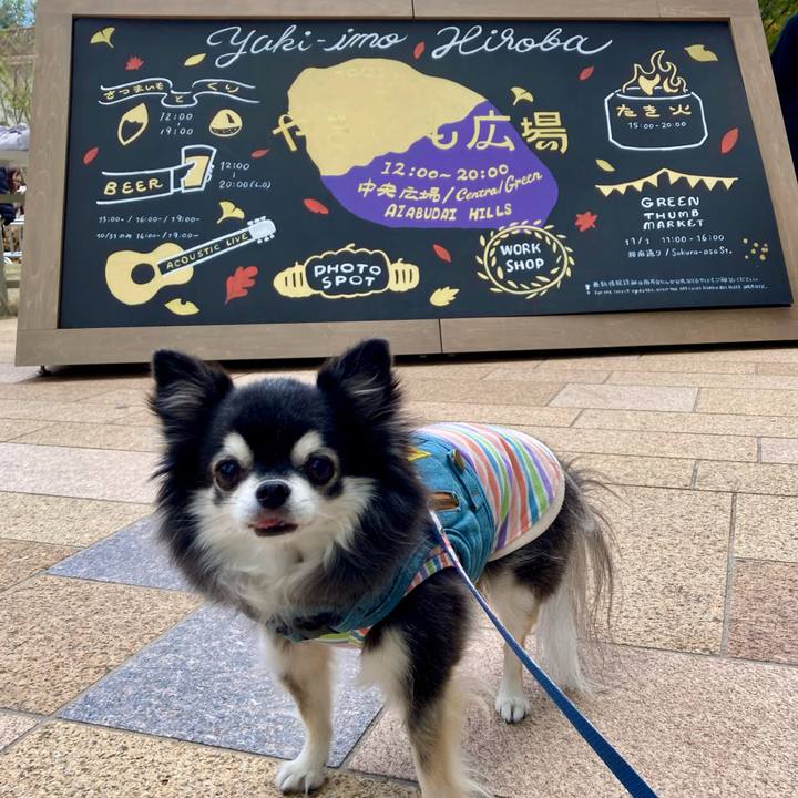 1f6365c8 cedb 4f8c 86dd 46907fac0501 1762156612758