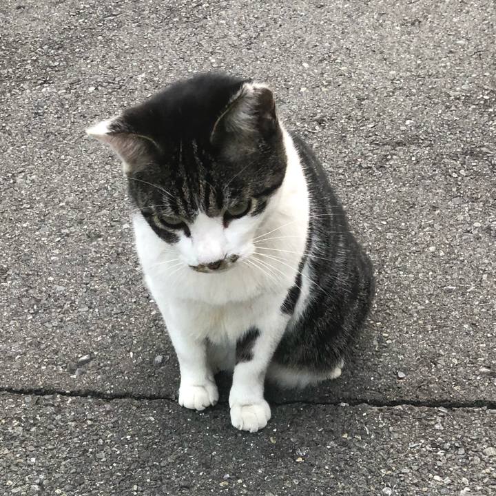 1f63820a b997 44e0 b58d 9a0dce2bc386 1601293908204