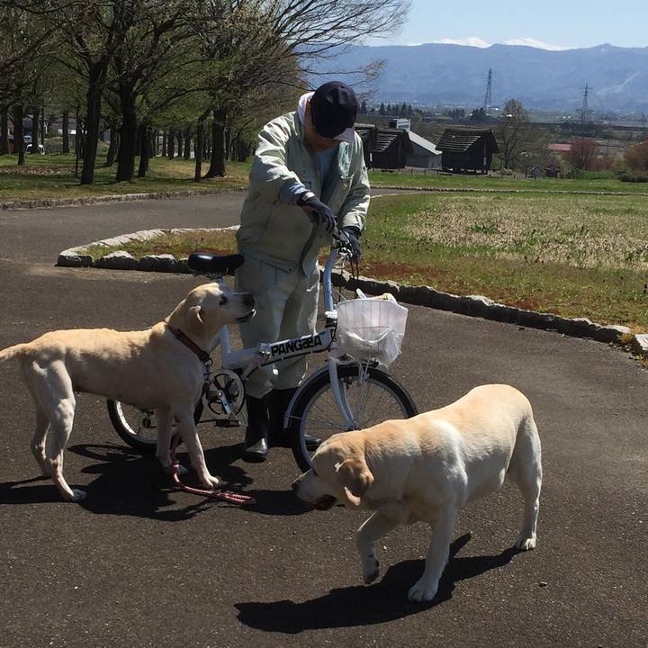 1f638854 7296 4977 930a 7d66cbabf8eb 1557550417572