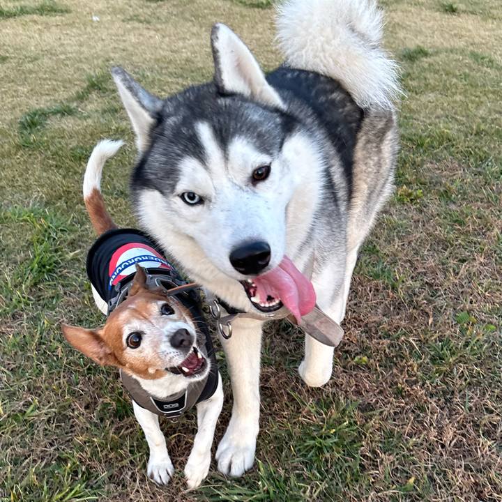 1f639bf9 0154 469b be4f 8fca12947cd5 1763284784091