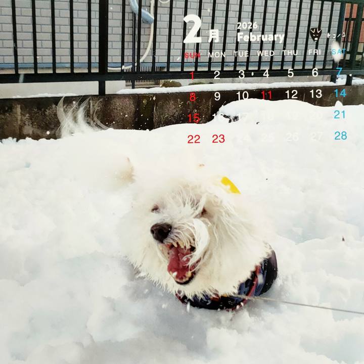 1f63e21d 18d0 4584 ae54 e4eba01c458c 1770506363188