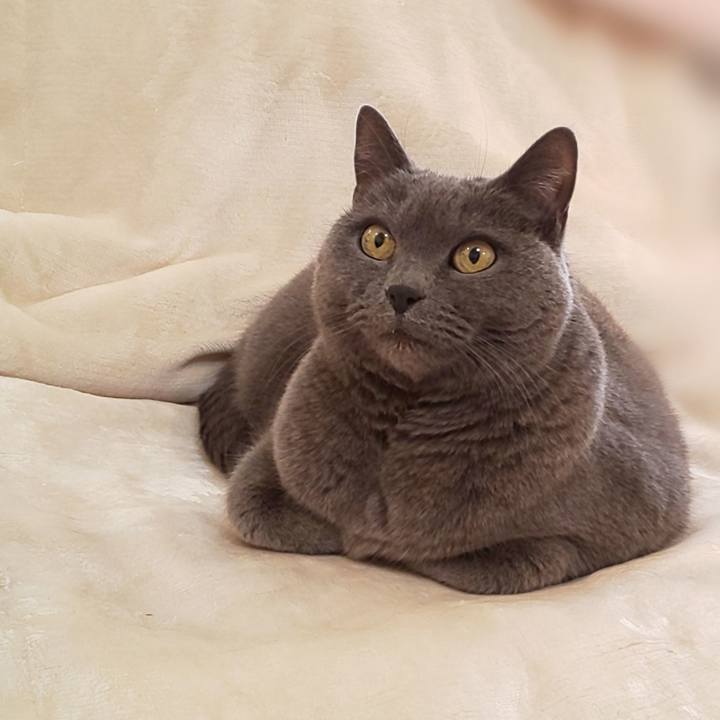 1f640c18 2499 4d59 8b66 bca69e2fa97e 1767226080129