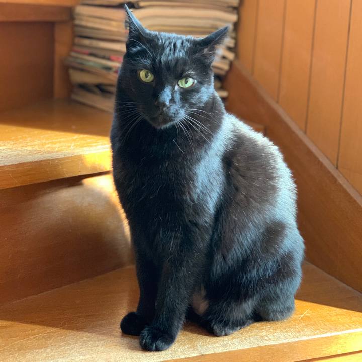 1f647448 85cd 4012 9f46 1ddc7b8f52e5 1584234830989