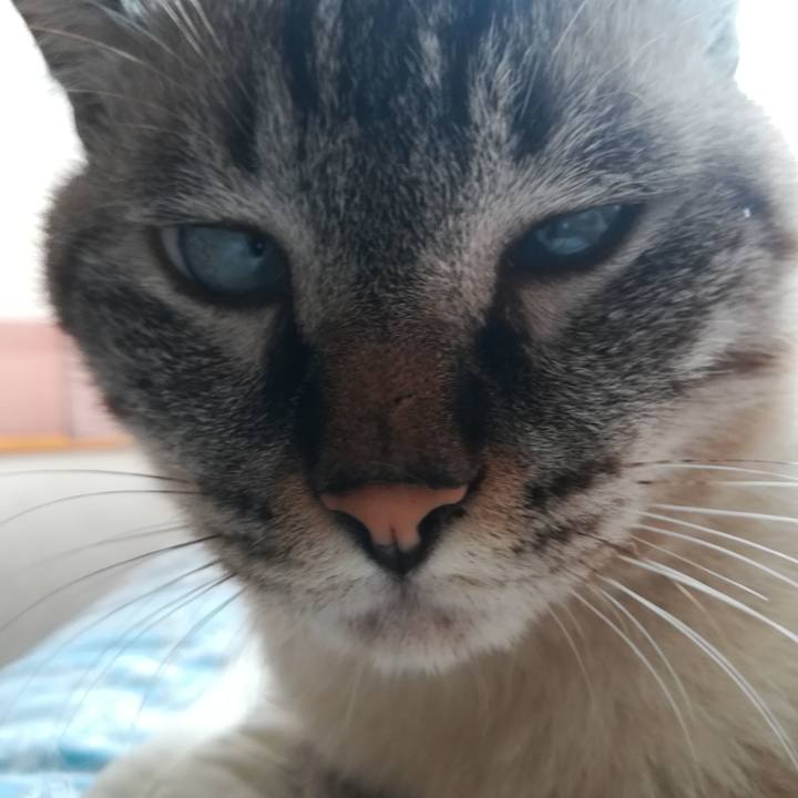 1f647a3b e335 4508 8a0c 1de2dac3b3b4 1534565904038