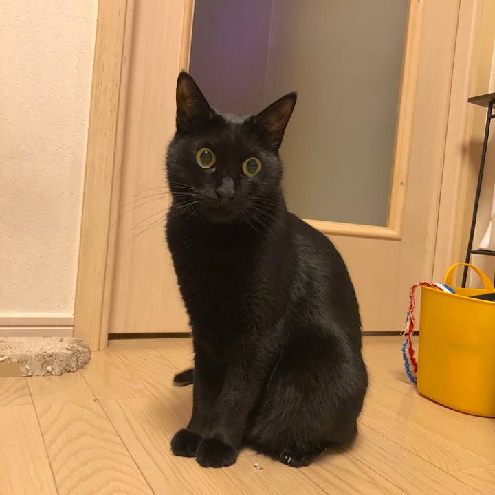 1f64851b 3272 41ed 8e2e 9af03c54dce8 1548854457538