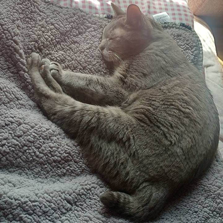 1f649180 6fc4 4156 8bba 97a15fab6775 1682986961370