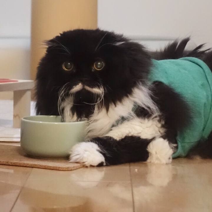 1f64a056 4ffb 49ee a50a 68f2cb6845d5 1556893214006