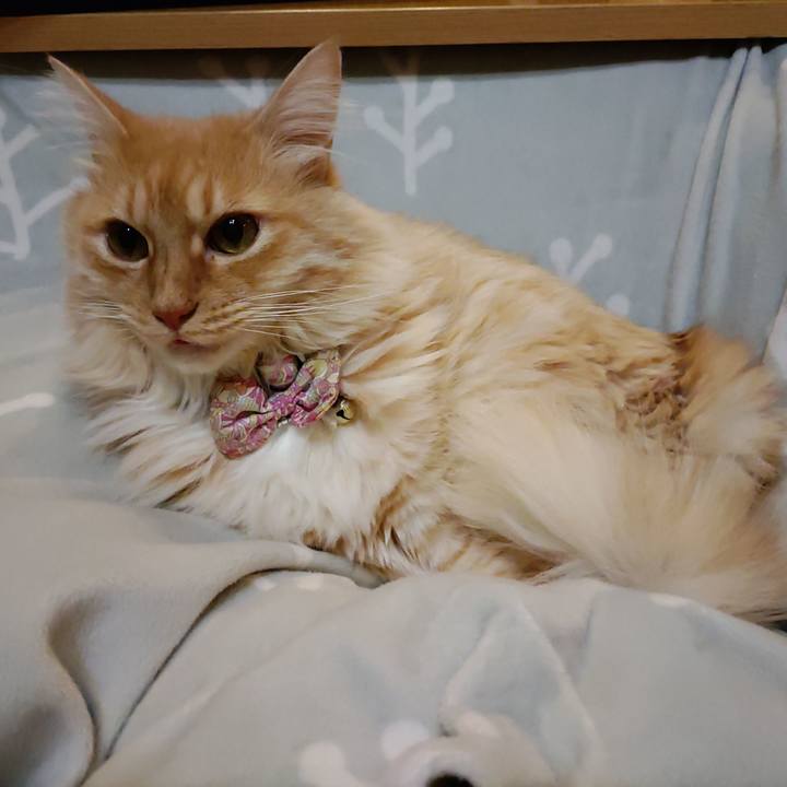 1f64b576 a8ff 457b 9e33 5231de5266bf 1671271779330